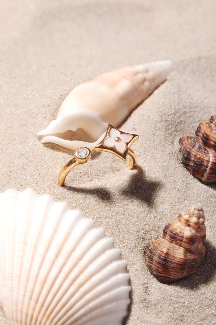 Beach Proof Stainless Steel Ring